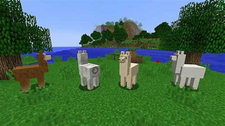 How to ride llamas in minecraft