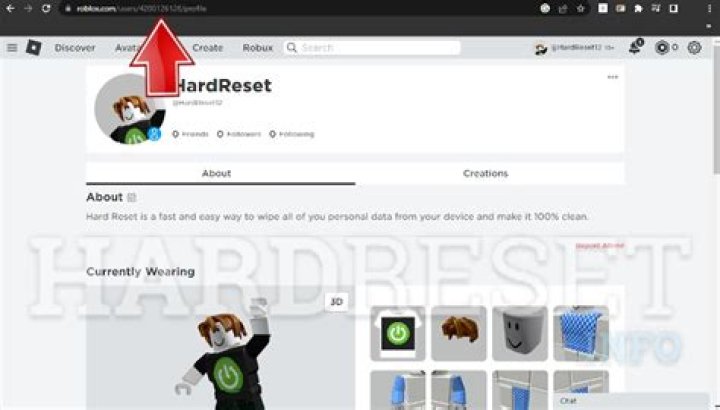 How to see player id in roblox
