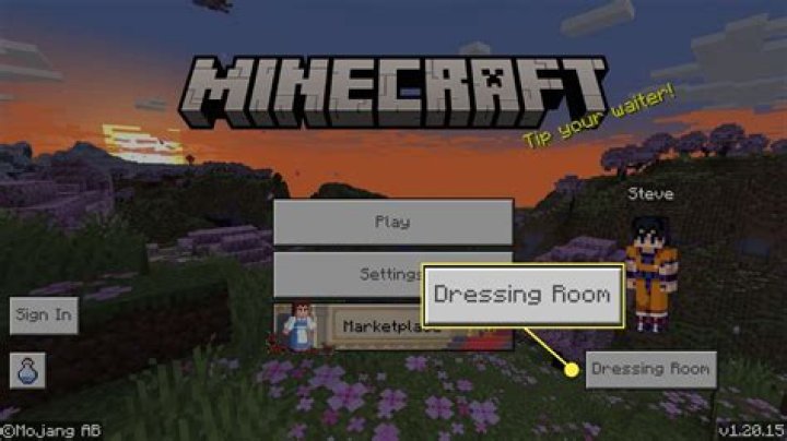 How to set minecraft skin
