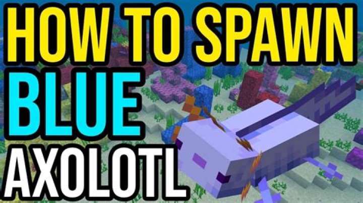 How to spawn a blue axolotl in minecraft