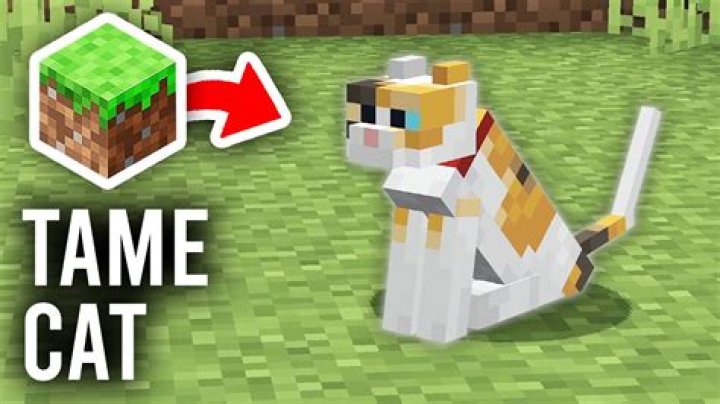How to spawn a tamed cat in minecraft