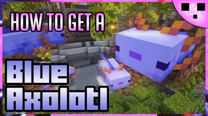 How to summon a blue axolotl in minecraft
