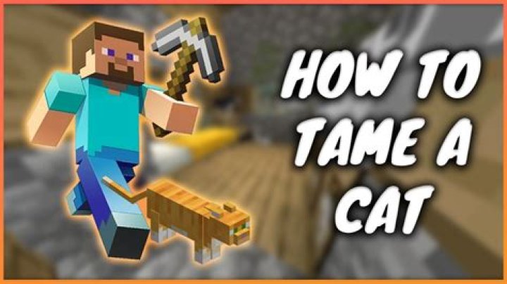 How to tame a cat in minecraft 2021