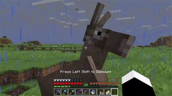 How to tame a donkey minecraft