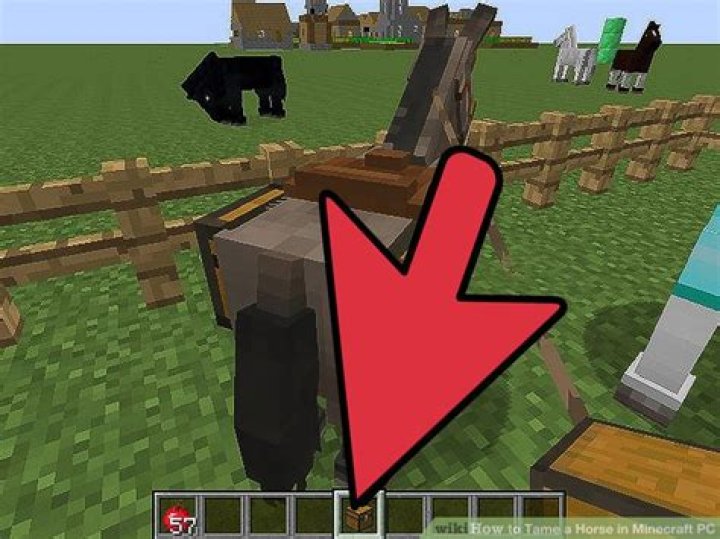 How to tame a horse in minecraft 1.8.8