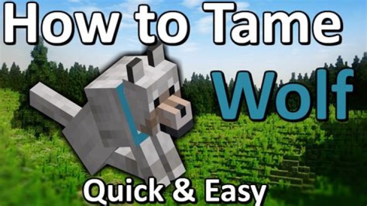 How to tame a minecraft wolf