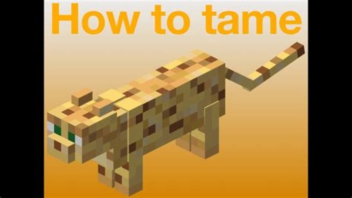 How to tame a ocelot in minecraft 2021