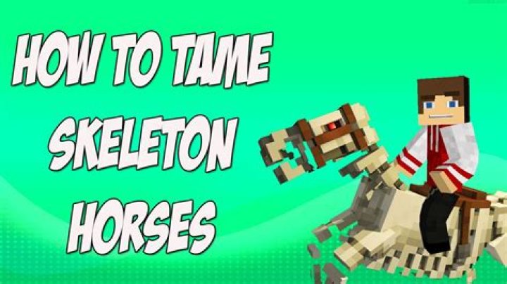 How to tame a skeleton horse in minecraft