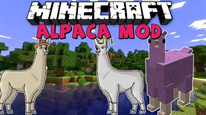 How to tame alpaca minecraft