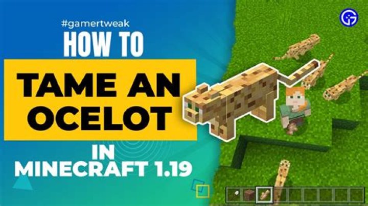 How to tame an ocelot in minecraft 1.14