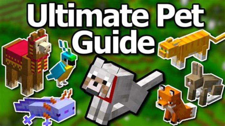 How to tame animals minecraft