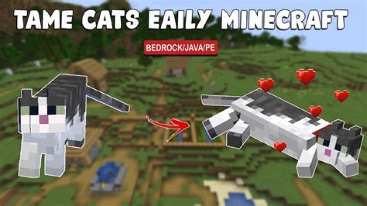 How to tame cats minecraft