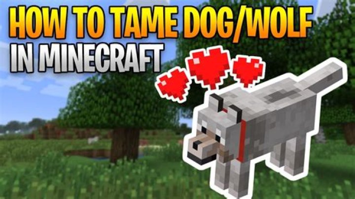 How to tame dogs in minecraft