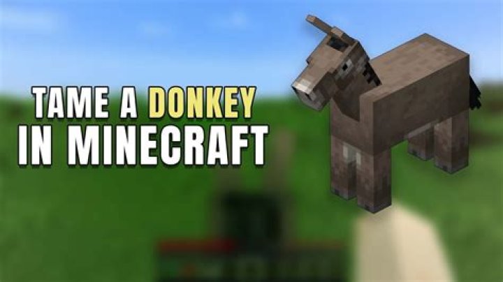 How to tame donkey minecraft