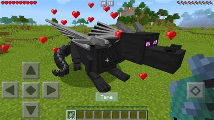How to tame dragons in minecraft