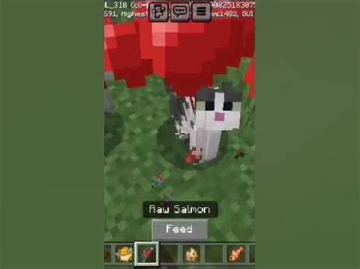 How to tame fish in minecraft