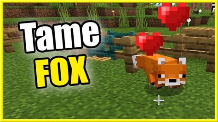 How to tame fox minecraft