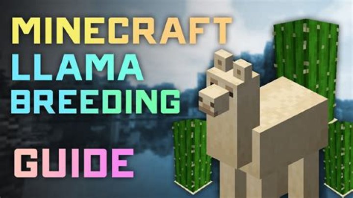 How to tame llamas in minecraft