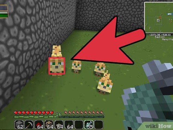 How to tame ocelot in minecraft