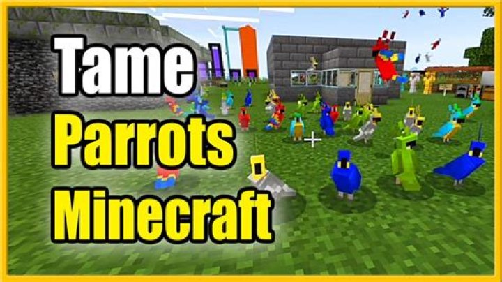 How to tame parrot minecraft