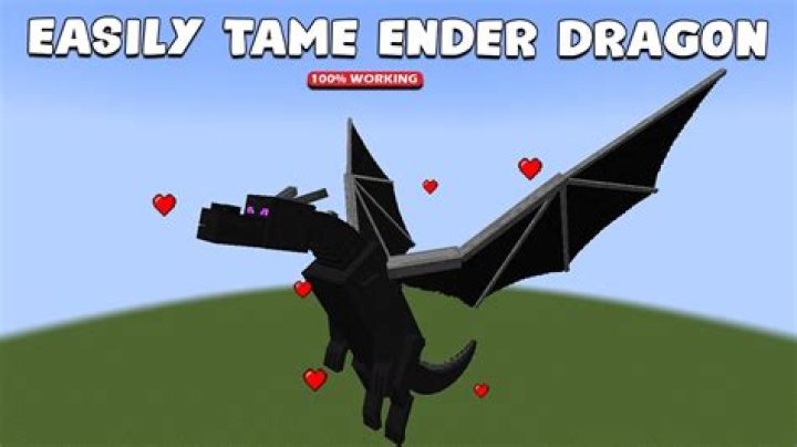 How to tame the ender dragon in minecraft