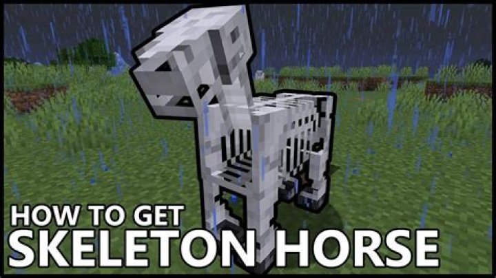 How to train a skeleton horse in minecraft