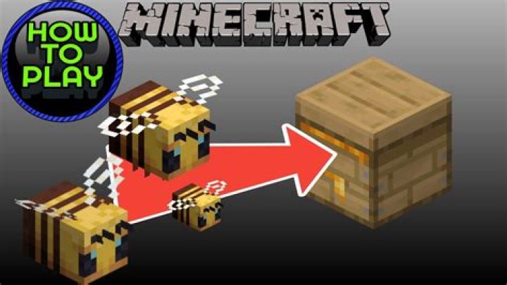 How to transport bees in minecraft