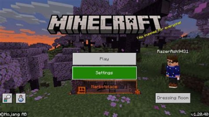 How to turn off gamertags in minecraft xbox