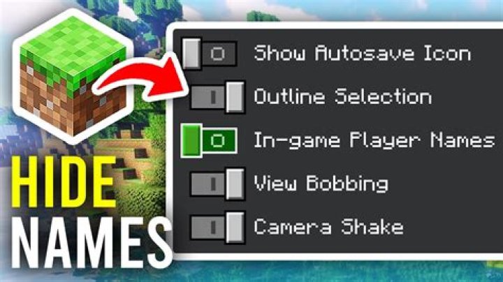 How to turn off player names in minecraft