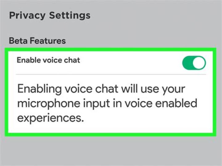 How to turn on voice chat roblox