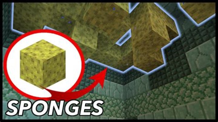 How to use sponge minecraft