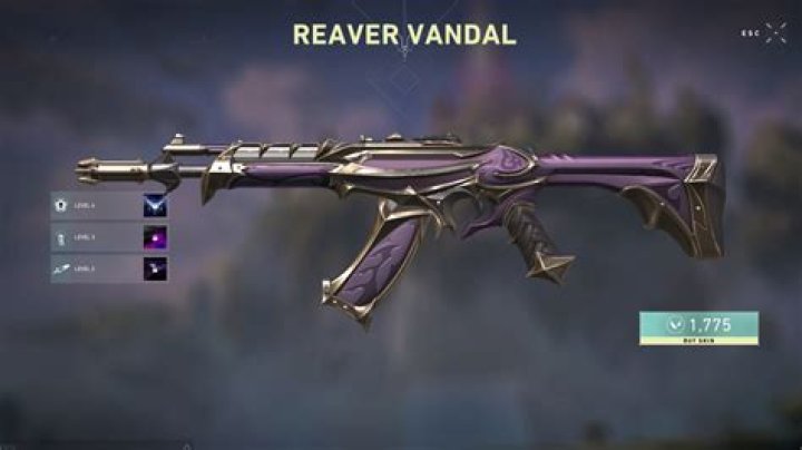 How to use vandal valorant