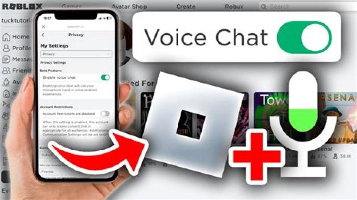How to use voice chat in roblox on mobile