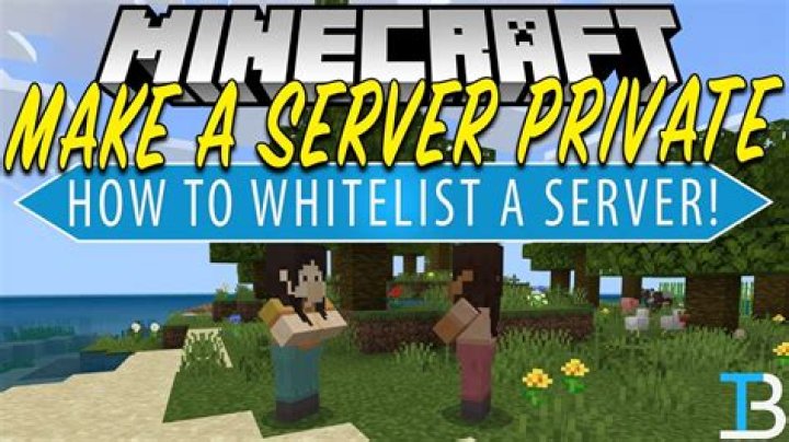 How to whitelist someone on a minecraft server