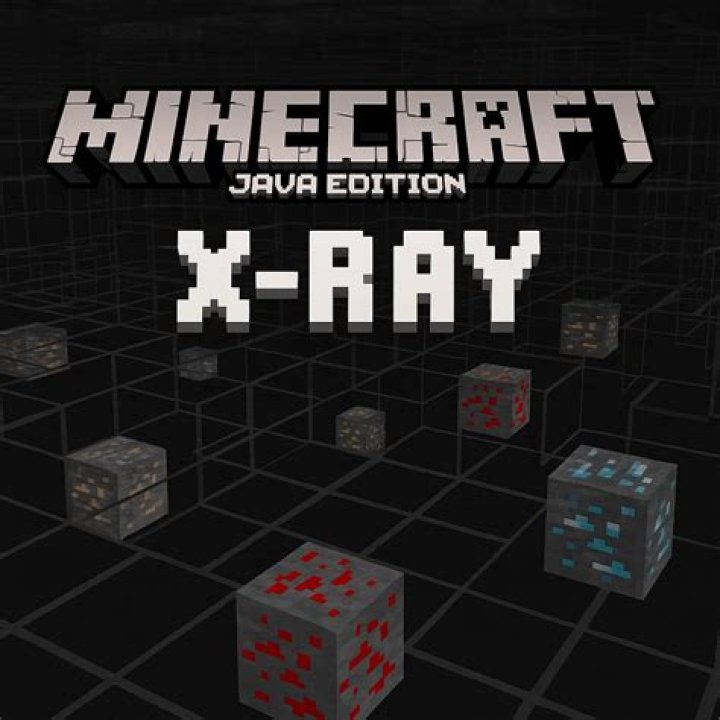 How to xray in minecraft