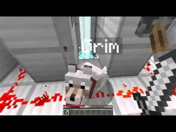 Minecraft how i met grim