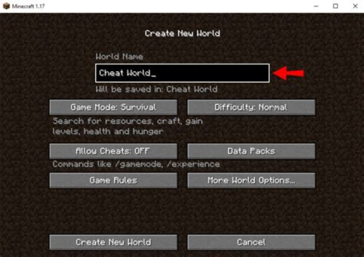 Minecraft how to allow cheats