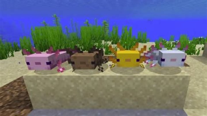 Minecraft how to breed axolotls