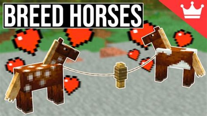 Minecraft how to breed horses