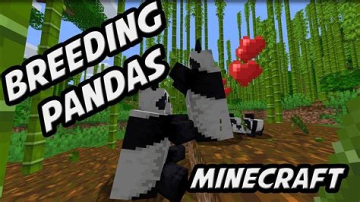 Minecraft how to breed pandas