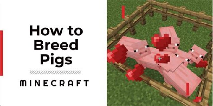 Minecraft how to breed pigs