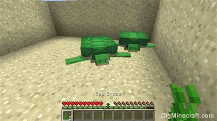 Minecraft how to breed turtles