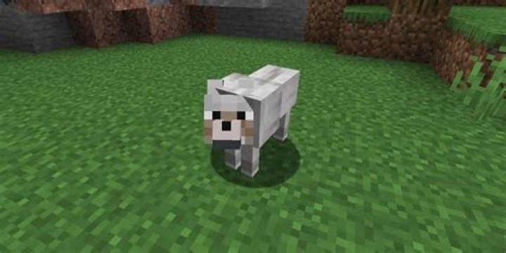 Minecraft how to breed wolves
