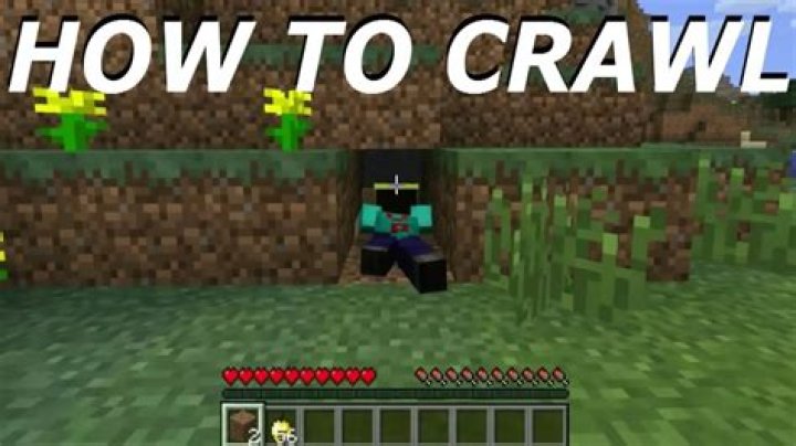 Minecraft how to crawl