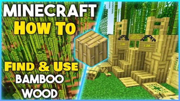 Minecraft how to find bamboo