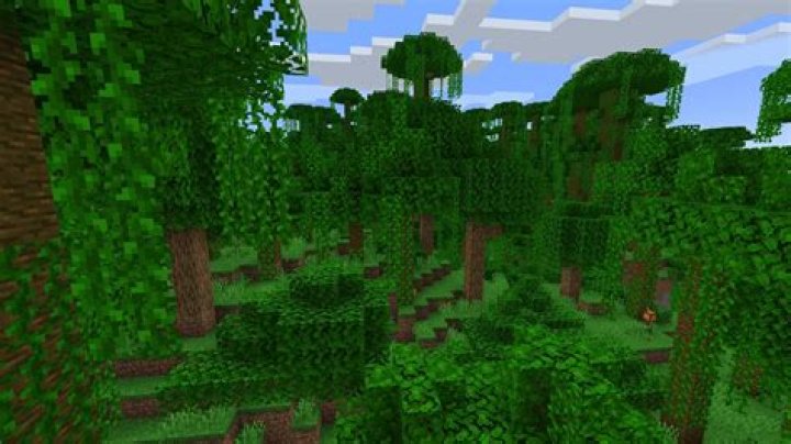 Minecraft how to find jungle biome