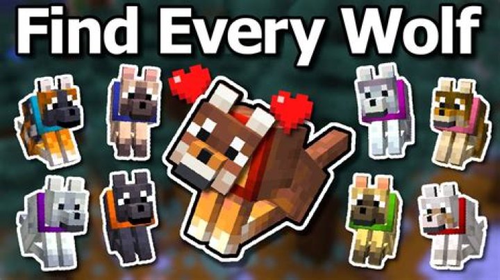 Minecraft how to find wolves