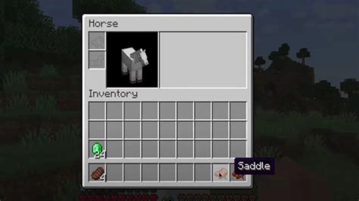 Minecraft how to get a saddle