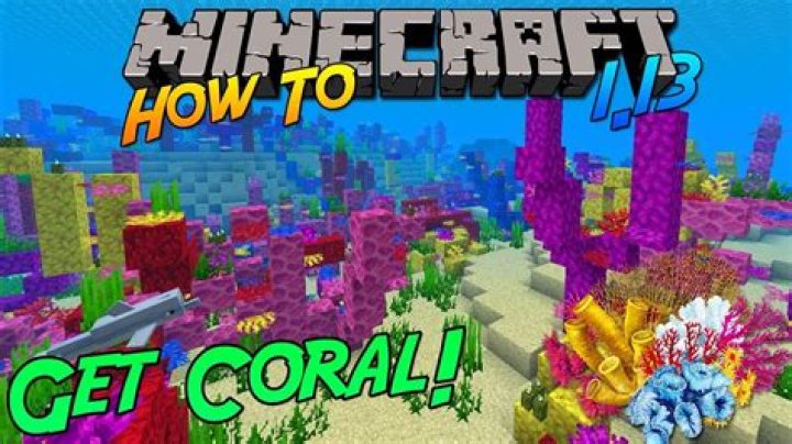 Minecraft how to get coral