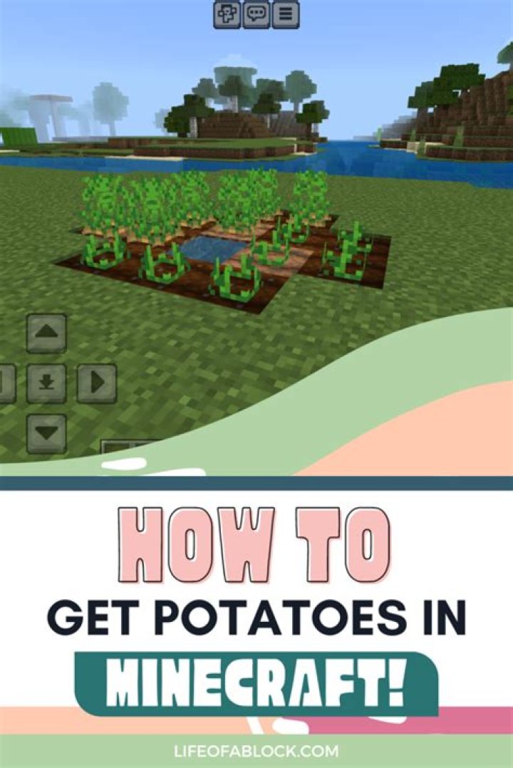 Minecraft how to get potatoes